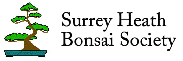 Surrey Heath Bonsai Society